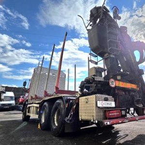 foto 6x6 les Phoenix Prasident 30t 5.4m Umikov +HR drapák TATRA lesovůz dřevo kulatina